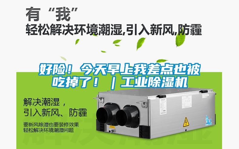 好險(xiǎn)！今天早上我差點(diǎn)也被吃掉了?。I(yè)除濕機(jī)