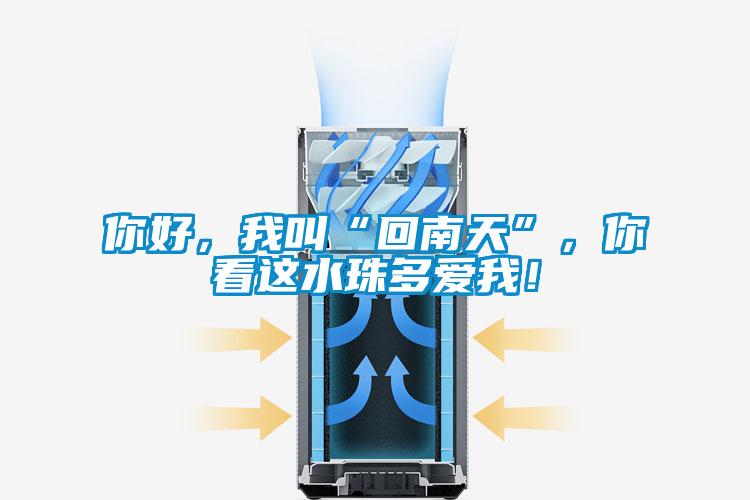 你好，我叫“回南天”，你看這水珠多愛我！