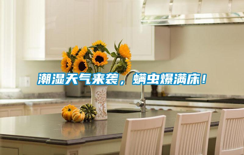 潮濕天氣來(lái)襲，螨蟲爆滿床！