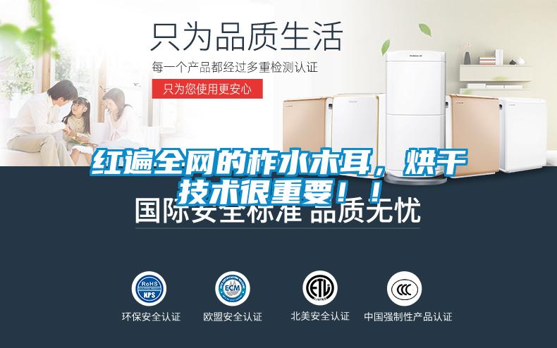 紅遍全網(wǎng)的柞水木耳，烘干技術(shù)很重要??！