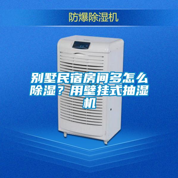 別墅民宿房間多怎么除濕？用壁掛式抽濕機(jī)