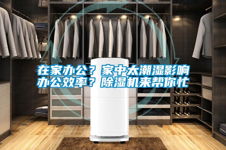 在家辦公？家中太潮濕影響辦公效率？除濕機來幫你忙