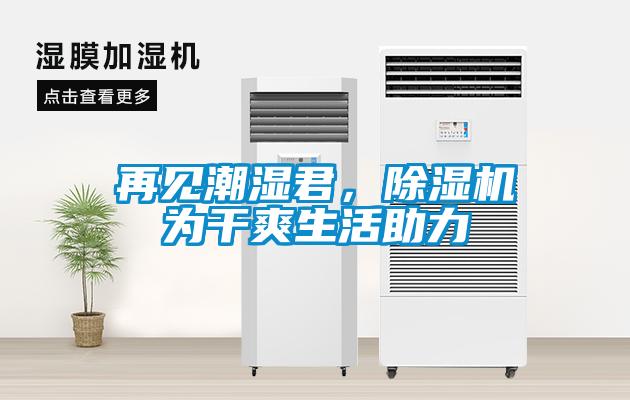再見潮濕君，除濕機為干爽生活助力