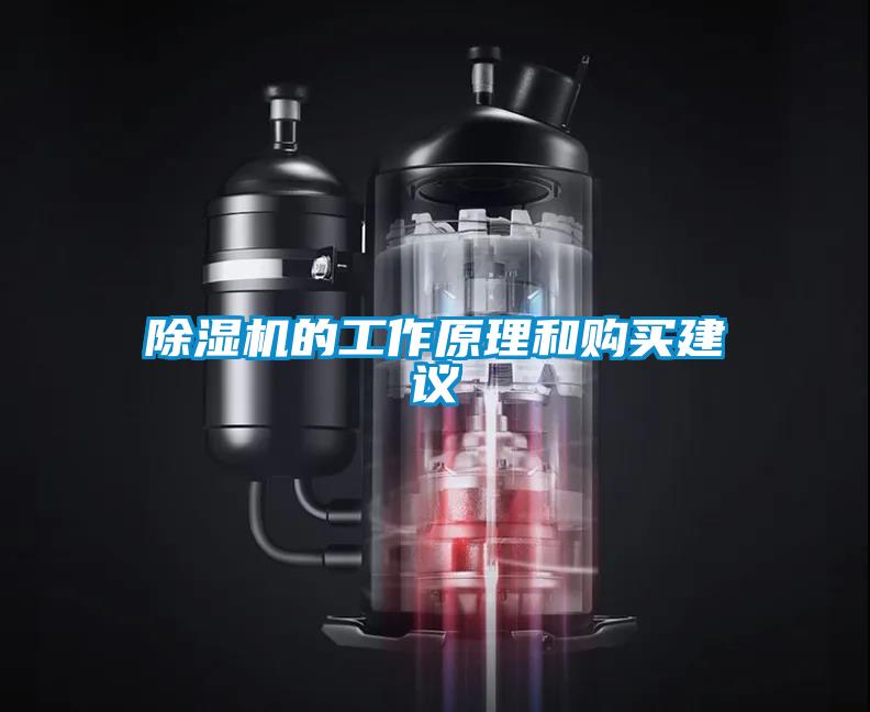 除濕機(jī)的工作原理和購買建議