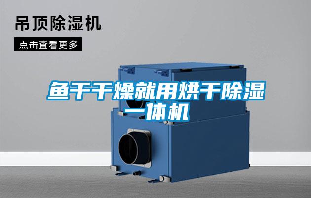 魚(yú)干干燥就用烘干除濕一體機(jī)