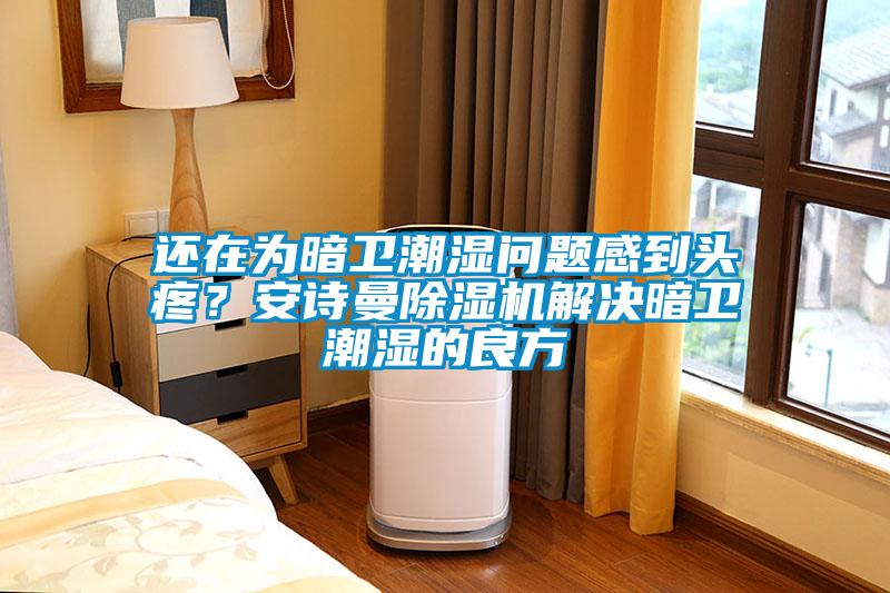 還在為暗衛(wèi)潮濕問(wèn)題感到頭疼？安詩(shī)曼除濕機(jī)解決暗衛(wèi)潮濕的良方