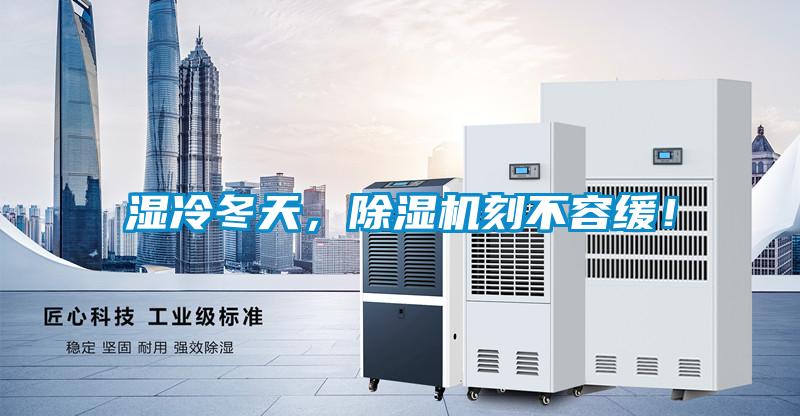 濕冷冬天，除濕機刻不容緩！
