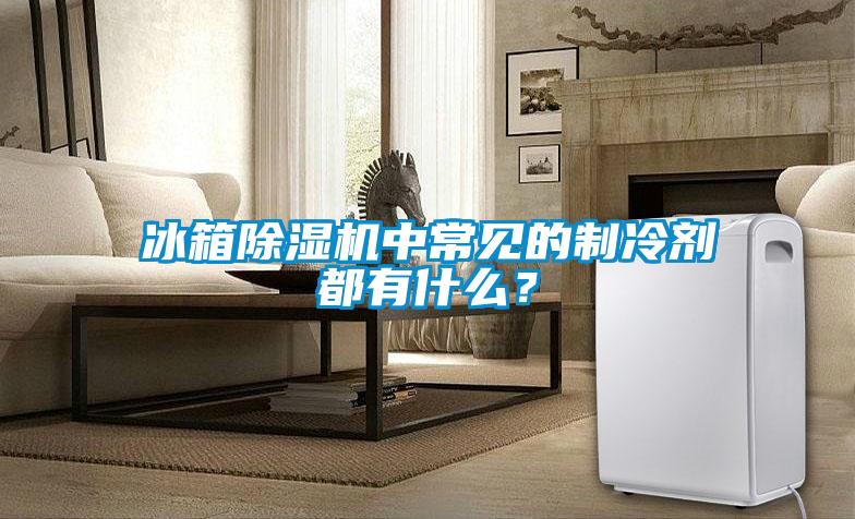 冰箱除濕機中常見的制冷劑都有什么？