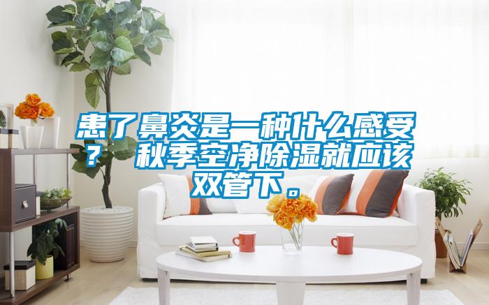 患了鼻炎是一種什么感受？ 秋季空凈除濕就應該雙管下。