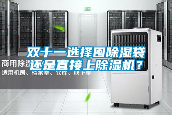 雙十一選擇囤除濕袋還是直接上除濕機(jī)？