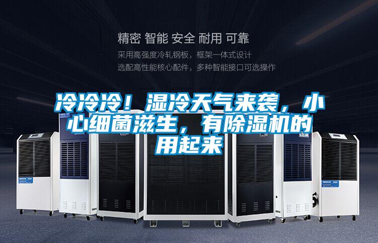 冷冷冷！濕冷天氣來襲，小心細菌滋生，有除濕機的用起來