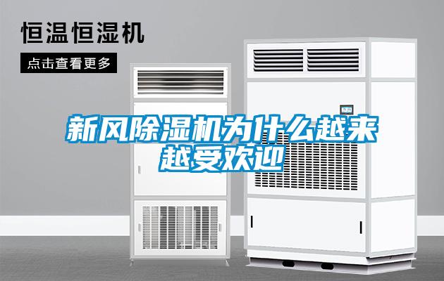 新風(fēng)除濕機為什么越來越受歡迎