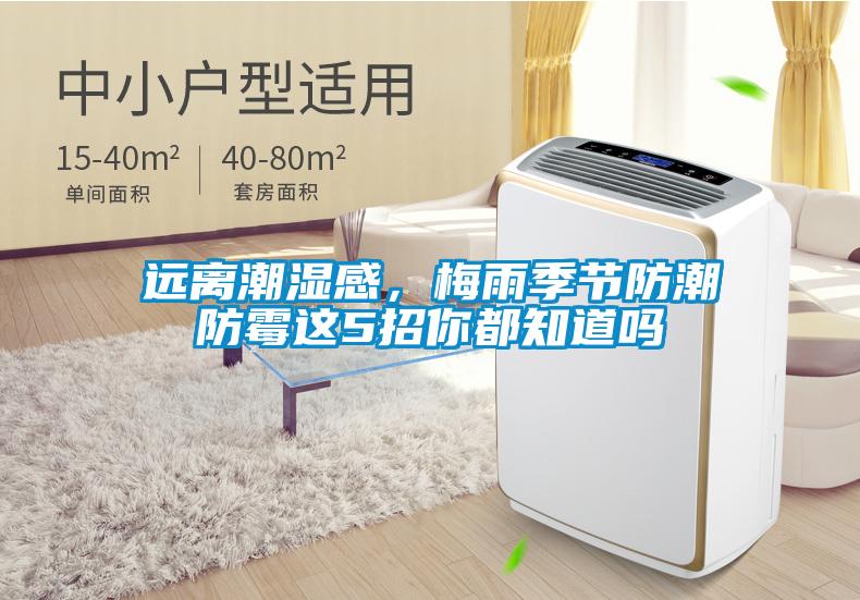遠(yuǎn)離潮濕感，梅雨季節(jié)防潮防霉這5招你都知道嗎