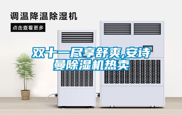 雙十一盡享舒爽,安詩(shī)曼除濕機(jī)熱賣(mài)