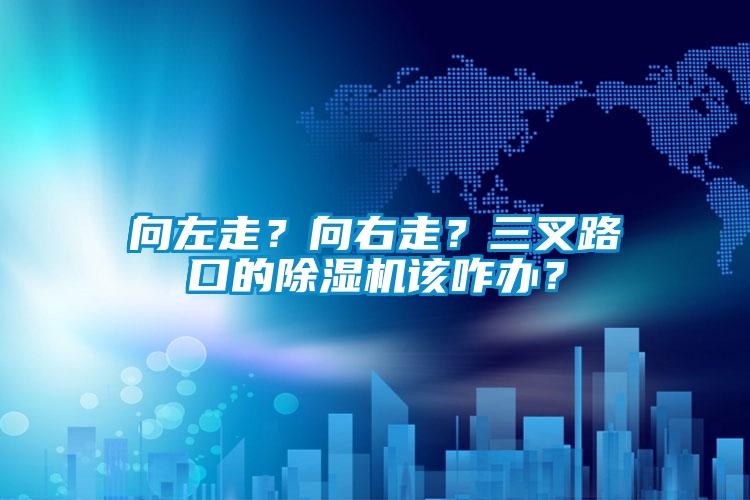 向左走？向右走？三叉路口的除濕機該咋辦？