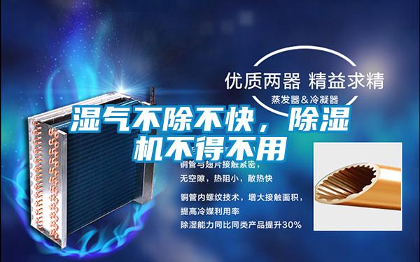 濕氣不除不快，除濕機(jī)不得不用