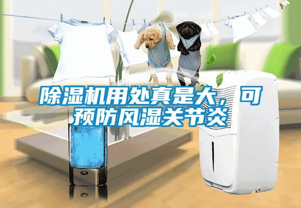除濕機(jī)用處真是大，可預(yù)防風(fēng)濕關(guān)節(jié)炎