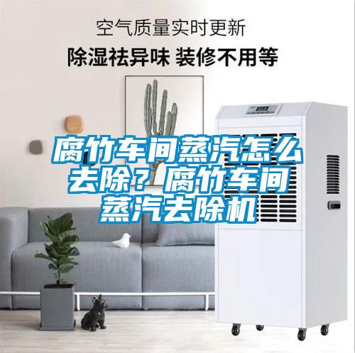 腐竹車間蒸汽怎么去除？腐竹車間蒸汽去除機(jī)