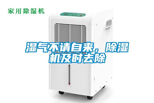 濕氣不請(qǐng)自來(lái)，除濕機(jī)及時(shí)去除