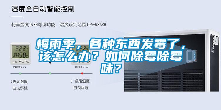 梅雨季，各種東西發(fā)霉了，該怎么辦？如何除霉除霉味？