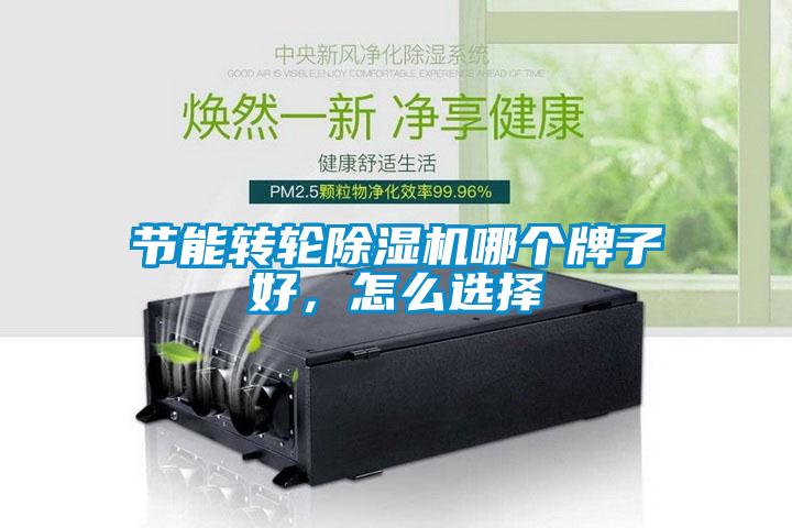 節(jié)能轉(zhuǎn)輪除濕機(jī)哪個牌子好，怎么選擇