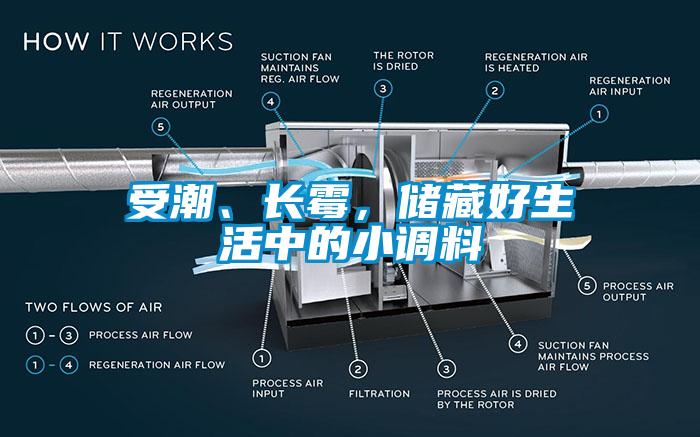受潮、長霉，儲藏好生活中的小調料