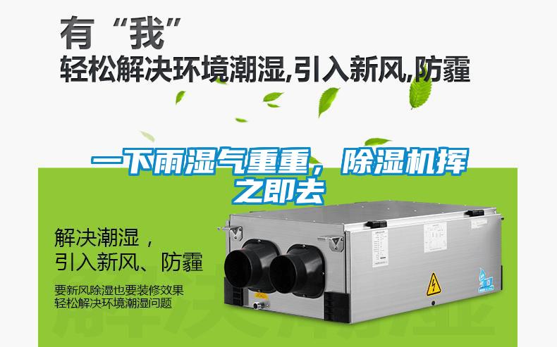 一下雨濕氣重重，除濕機(jī)揮之即去