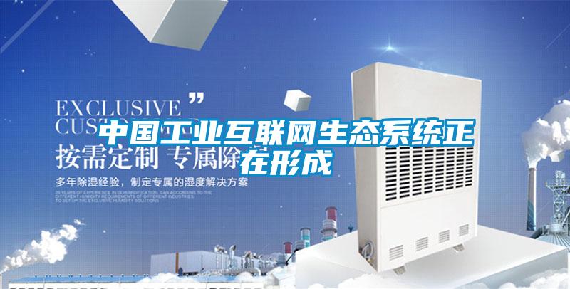 中國工業(yè)互聯(lián)網生態(tài)系統(tǒng)正在形成