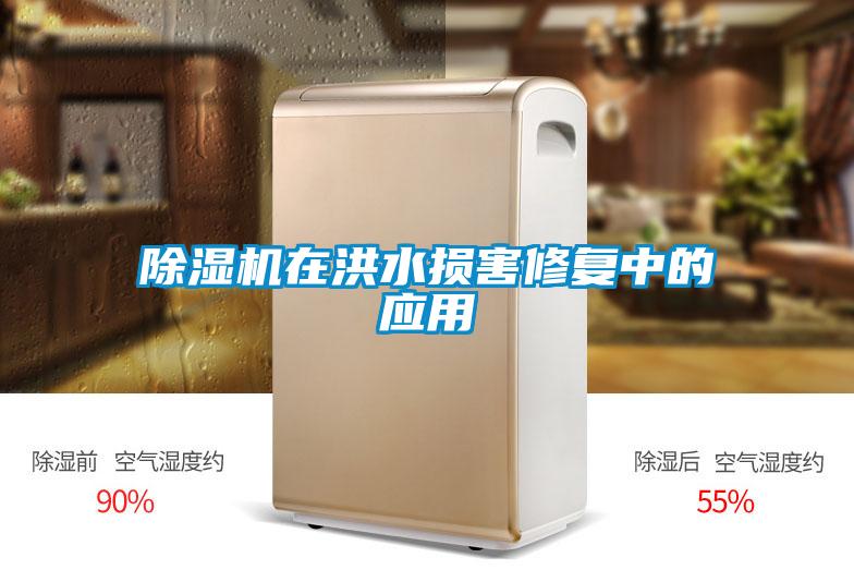除濕機在洪水損害修復(fù)中的應(yīng)用