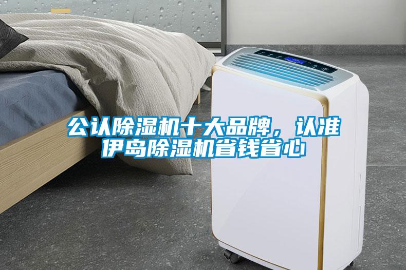 公認除濕機十大品牌，認準伊島除濕機省錢省心