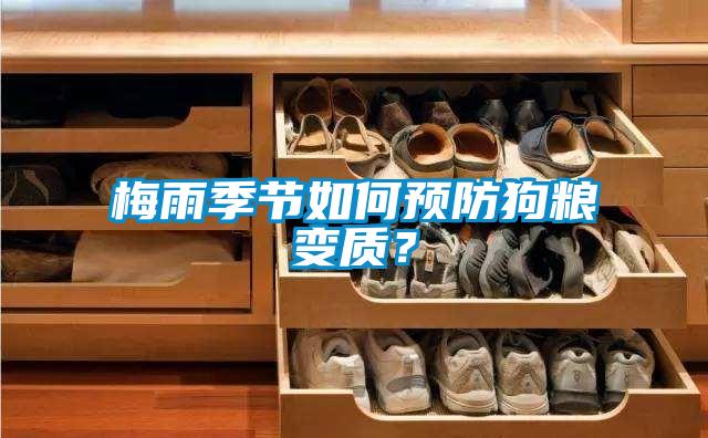梅雨季節(jié)如何預(yù)防狗糧變質(zhì)？
