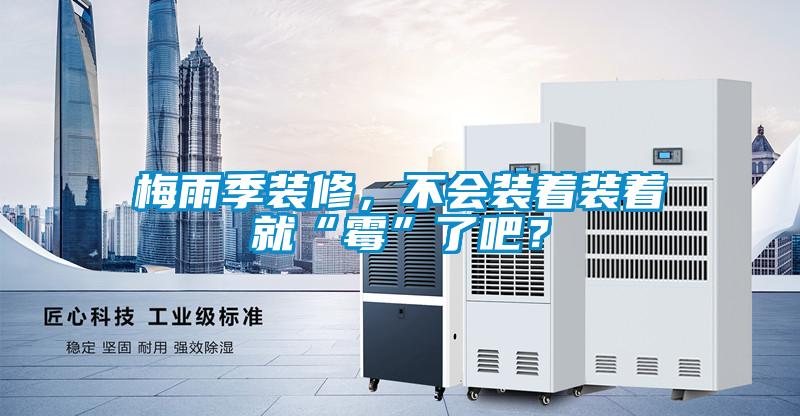 梅雨季裝修，不會裝著裝著就“霉”了吧？