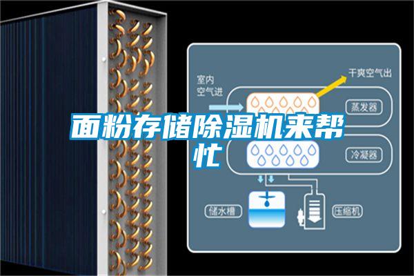 面粉存儲(chǔ)除濕機(jī)來幫忙