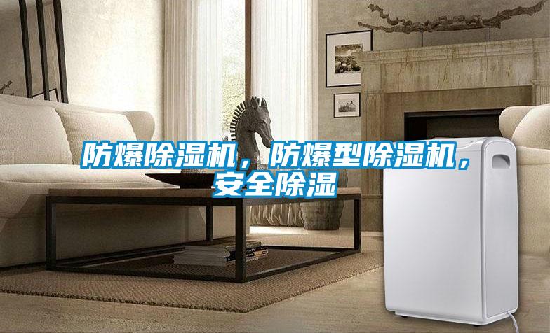 防爆除濕機(jī)，防爆型除濕機(jī)，安全除濕