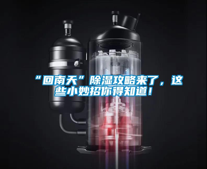 “回南天”除濕攻略來(lái)了，這些小妙招你得知道！