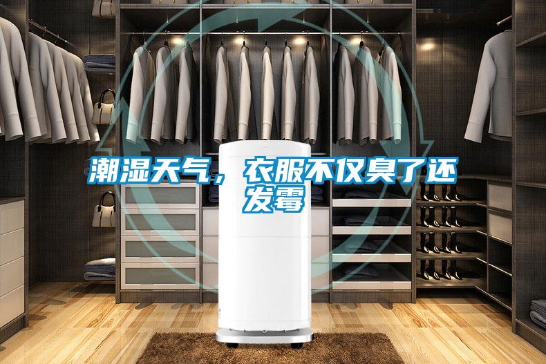 潮濕天氣，衣服不僅臭了還發(fā)霉