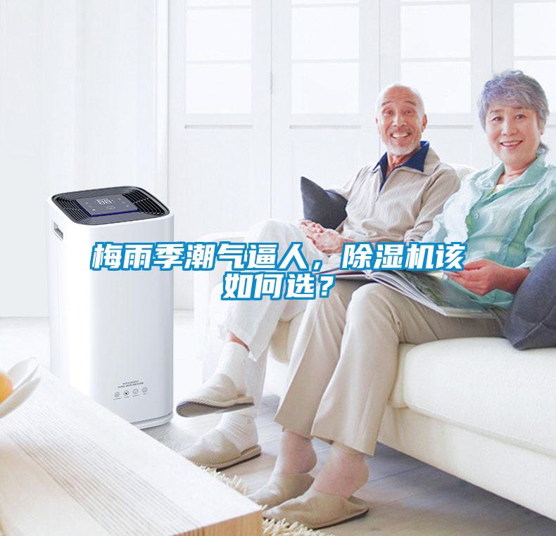 梅雨季潮氣逼人，除濕機(jī)該如何選？