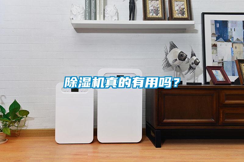 除濕機真的有用嗎？