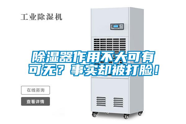 除濕器作用不大可有可無？事實卻被打臉！