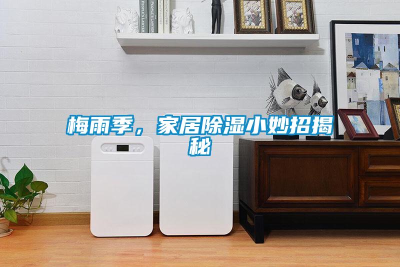 梅雨季，家居除濕小妙招揭秘