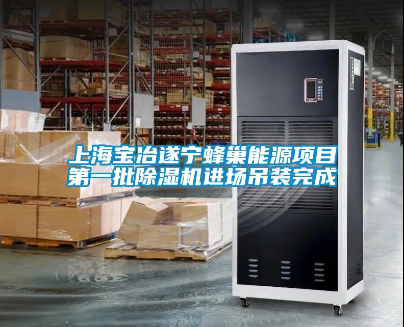 上海寶冶遂寧蜂巢能源項目第一批除濕機(jī)進(jìn)場吊裝完成