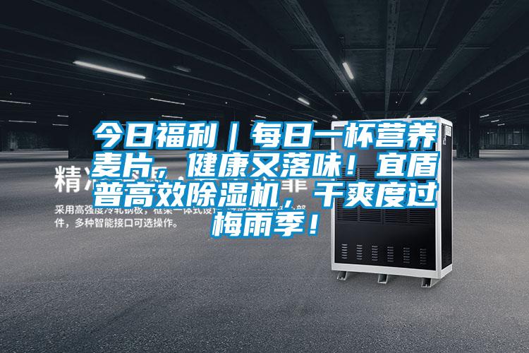 今日福利｜每日一杯營養(yǎng)麥片，健康又落味！宜盾普高效除濕機(jī)，干爽度過梅雨季！