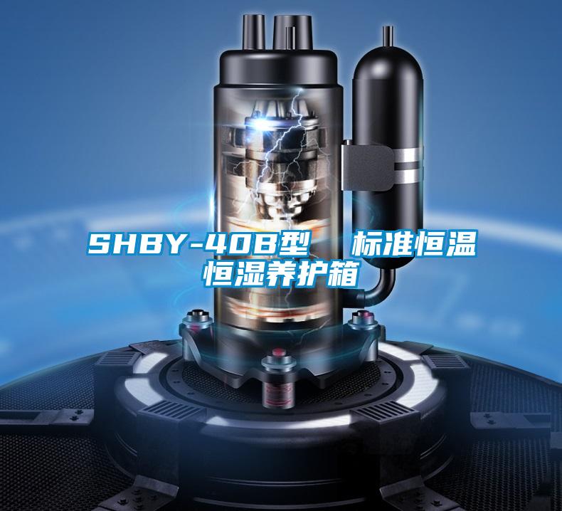 SHBY-40B型  標(biāo)準(zhǔn)恒溫恒濕養(yǎng)護(hù)箱