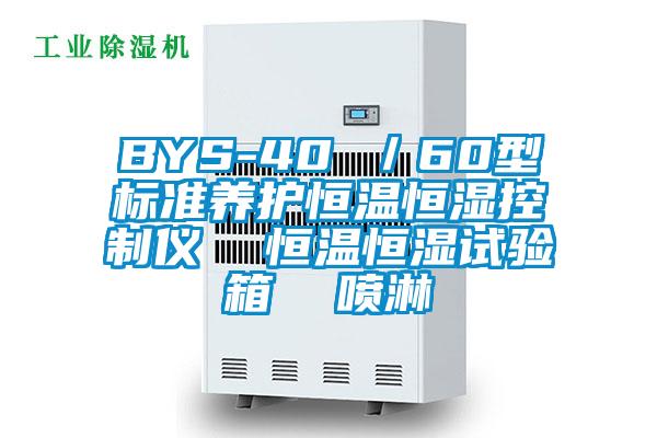 BYS-40 ／60型標(biāo)準(zhǔn)養(yǎng)護恒溫恒濕控制儀  恒溫恒濕試驗箱  噴淋