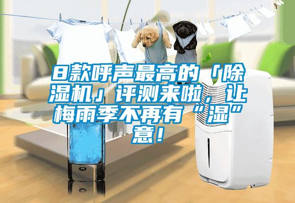 8款呼聲最高的「除濕機(jī)」評(píng)測來啦，讓梅雨季不再有“濕”意！