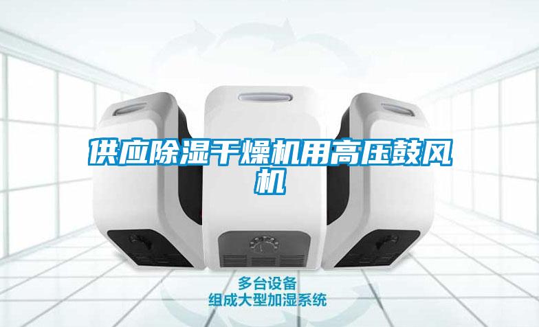 供應(yīng)除濕干燥機(jī)用高壓鼓風(fēng)機(jī)