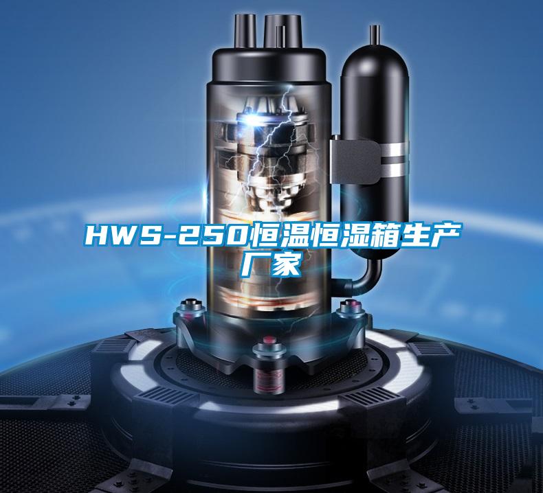 HWS-250恒溫恒濕箱生產(chǎn)廠家