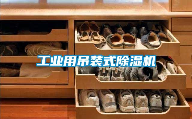 工業(yè)用吊裝式除濕機