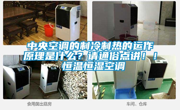 中央空調(diào)的制冷制熱的運(yùn)作原理是什么？請(qǐng)通俗點(diǎn)講??！ 恒溫恒濕空調(diào)