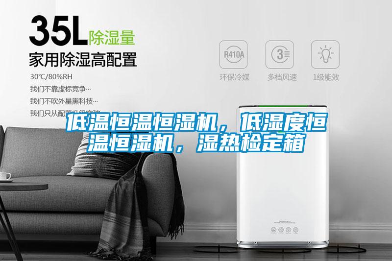 低溫恒溫恒濕機(jī)，低濕度恒溫恒濕機(jī)，濕熱檢定箱